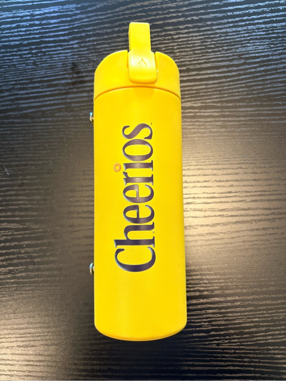 Vintage Cheerios Insulated Bottle